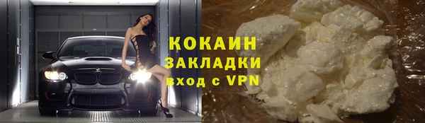 прущие грибы Краснослободск