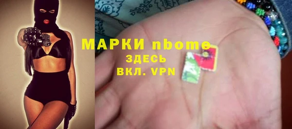 прущие грибы Краснослободск