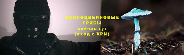 прущие грибы Краснослободск