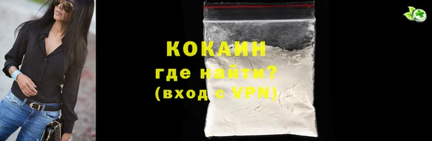 прущие грибы Краснослободск