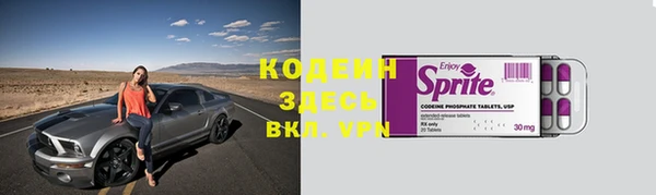 прущие грибы Краснослободск