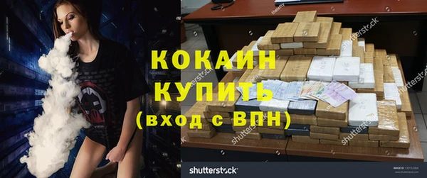 прущие грибы Краснослободск