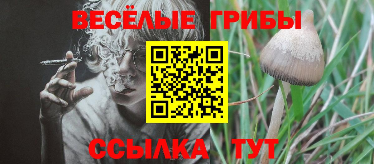 Галлюциногенные грибы Psilocybe  Галлюциногенные грибы Cubensis  Вход с VPN  Северск 