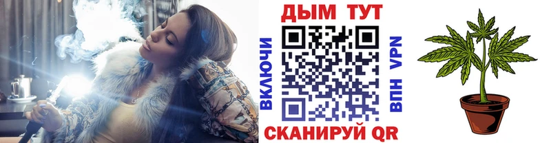 Канабис Amnesia  Северск 