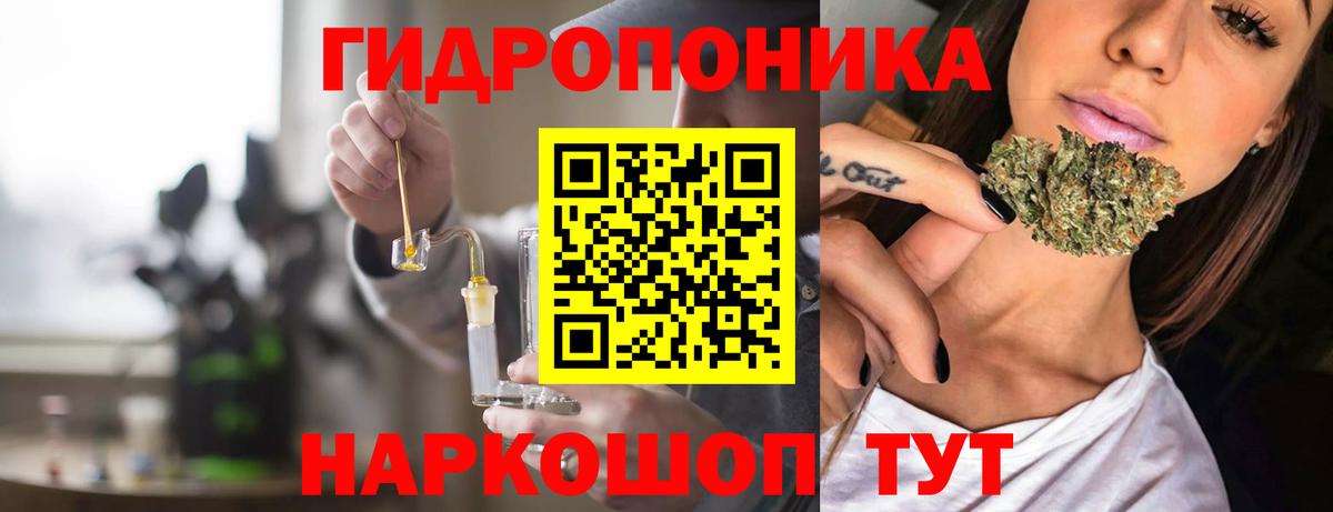 Северск  Конопля семена  Каннабис конопля  Вход с VPN  МАРИХУАНА Bruce Banner 